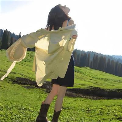 彩凤朝阳